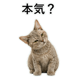 852787649