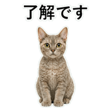 852787650