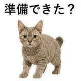 852787652