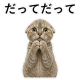 852787655