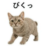 852787660