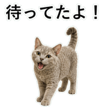 852787664