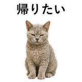 852787665
