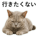 852787666