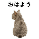 852787668