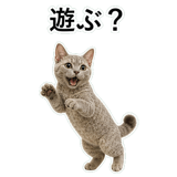 852787673