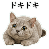 852787674