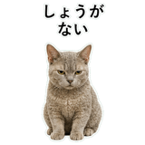 852787677