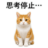 852787714