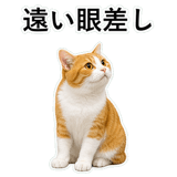 852787716