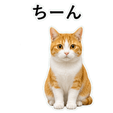 852787717