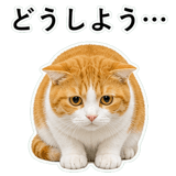 852787719