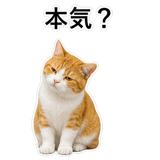 852787721
