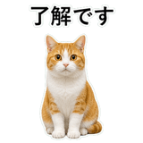 852787722