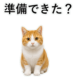 852787724