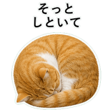 852787730
