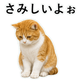 852787733