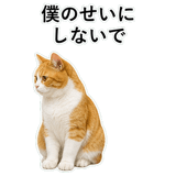 852787734