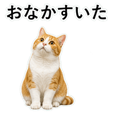 852787735