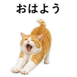 852787740