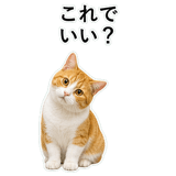 852787744