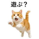 852787745