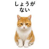 852787749