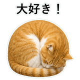852787750