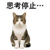 852787762