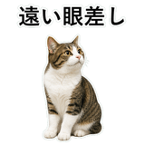 852787764