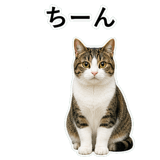 852787765