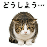 852787767