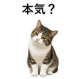 852787769