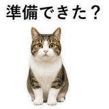 852787772