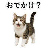 852787773