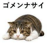 852787774