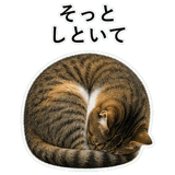 852787778
