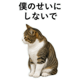852787782
