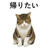 852787785