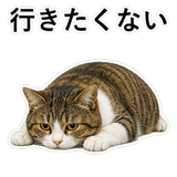 852787786