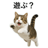 852787793