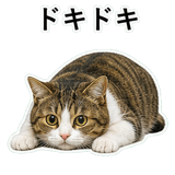 852787794
