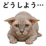 852787807