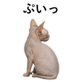 852787808
