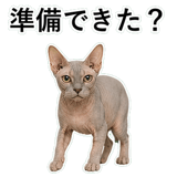 852787812