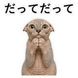 852787815