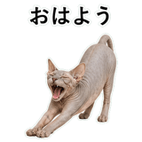 852787828