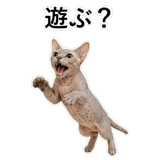 852787833