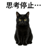 852787898