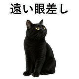 852787900